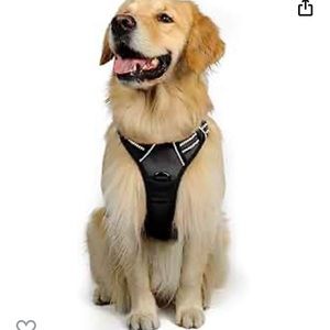 Rabbitgoo XL dog harness